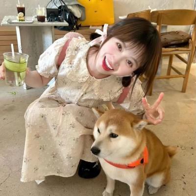 我心略野